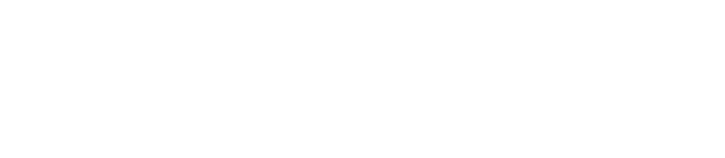 TwinAI